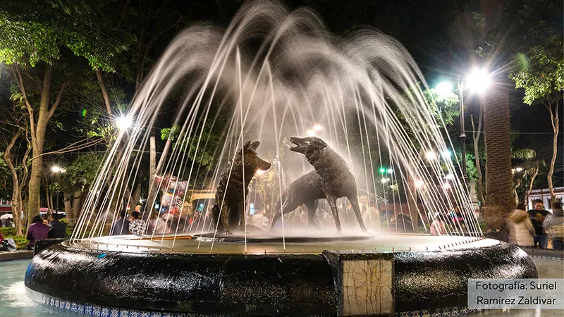 coyoacan
